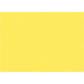 LB0331 Lemon Solid Warm Backdrop